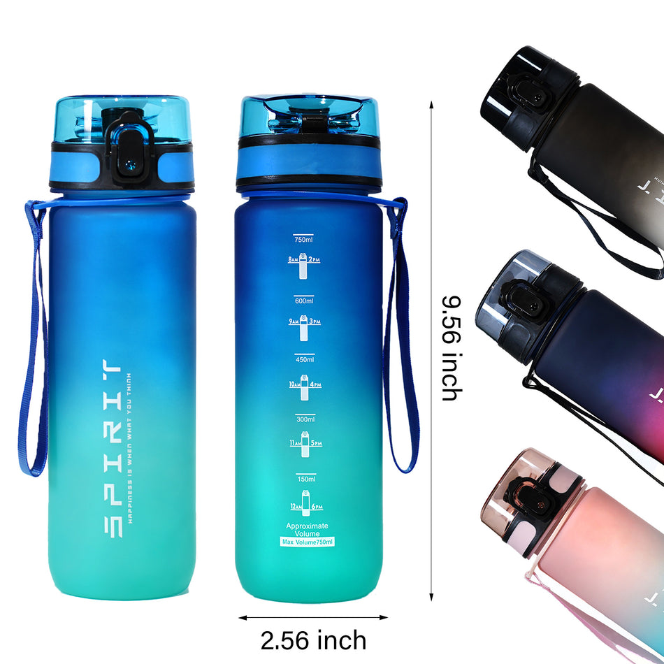 Premium Cross-Border Large Capacity Frosted Gradient Sports Water Bottle