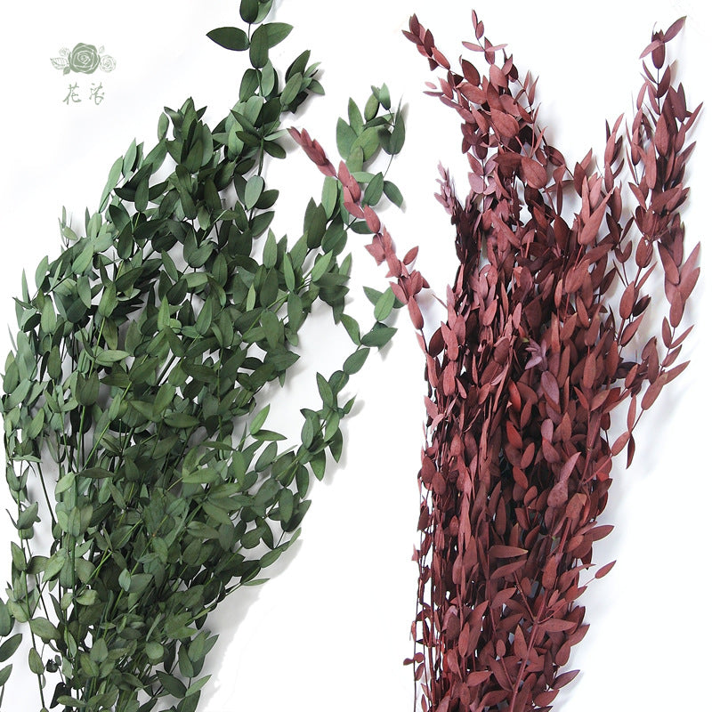 Eternal Eucalyptus Preserved Flower Gift Box Wholesale Decor