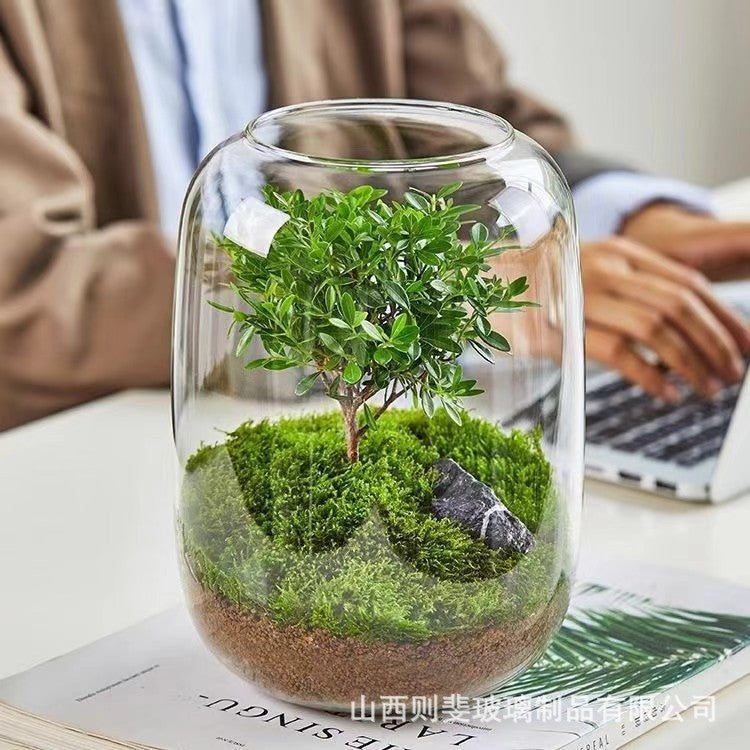 Tree of Life Moss Micro Landscape Vase – Creative Desktop Ecological Potted Decorative Vase with Green Plant Bonsai