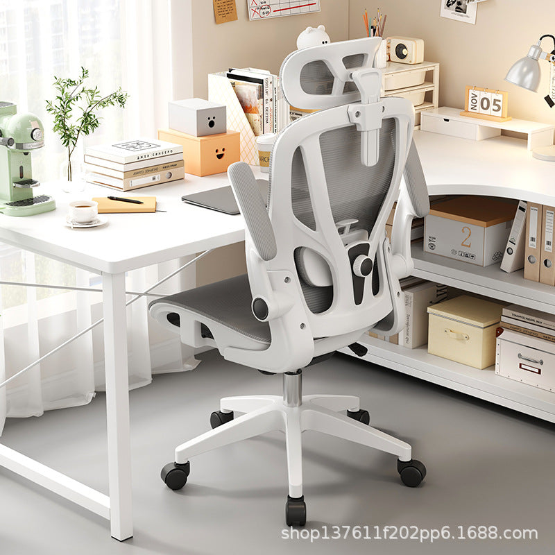 Chairs for Men 2025 | Ergonomic Study & Gaming Seat