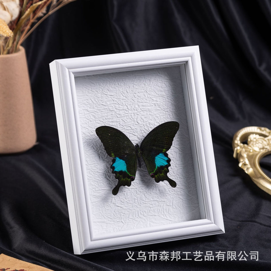 3D Hollow Butterfly Specimen Photo Frame – DIY Decor
