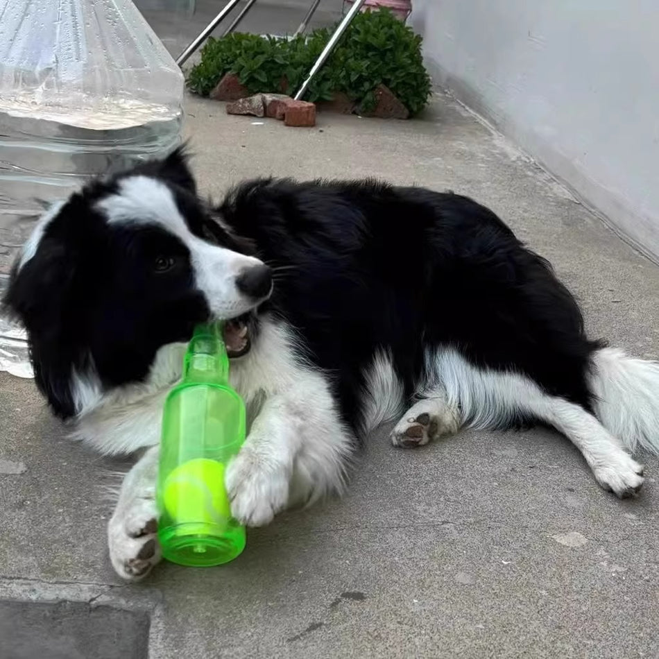 Sound Tennis Ball Dog Toy | Durable Bite-Resistant Fun