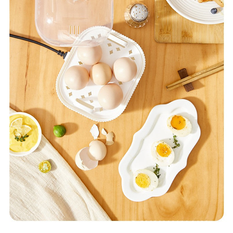 Smart Mini Egg Cooker with Hot Spring Egg Function