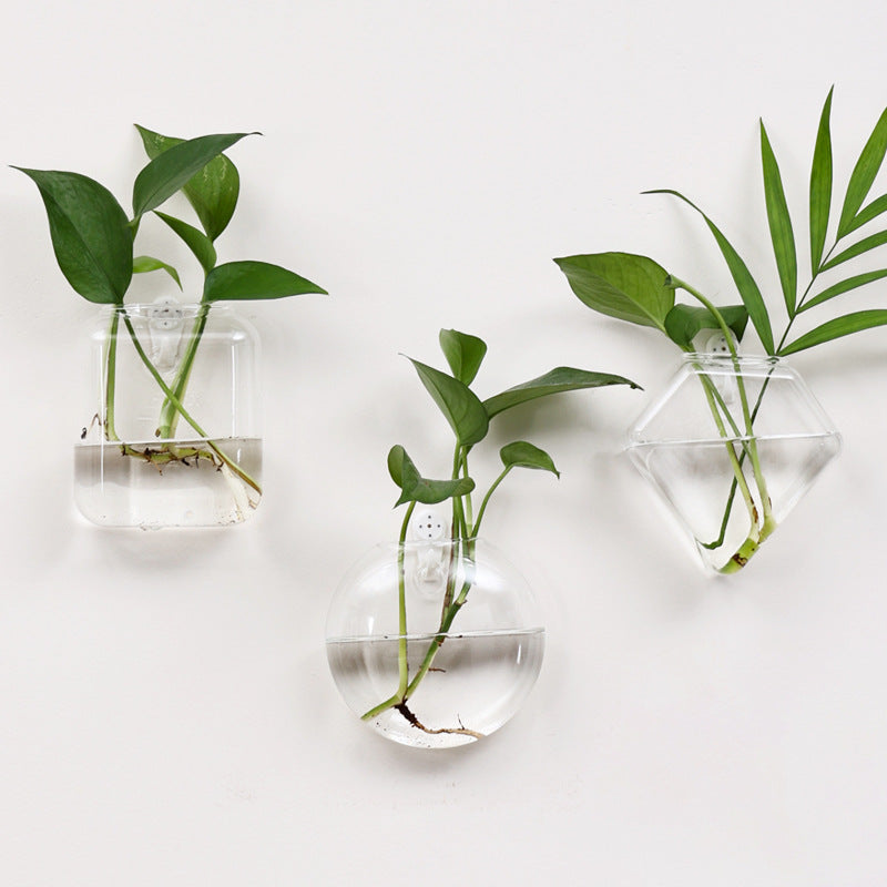 Wall-Mounted Glass Vase for Hydroponic Plants & Flowers