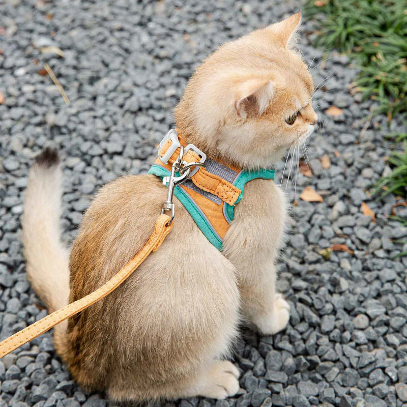 Cat Traction Rope Vest Anti-Break Reflective Kitten Harness