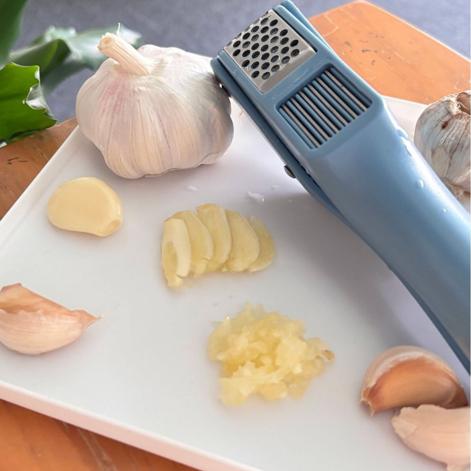 Stainless Steel & Plastic Manual Garlic Press