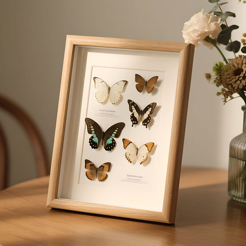 Wooden 3D Butterfly & Insect Specimen Photo Frame