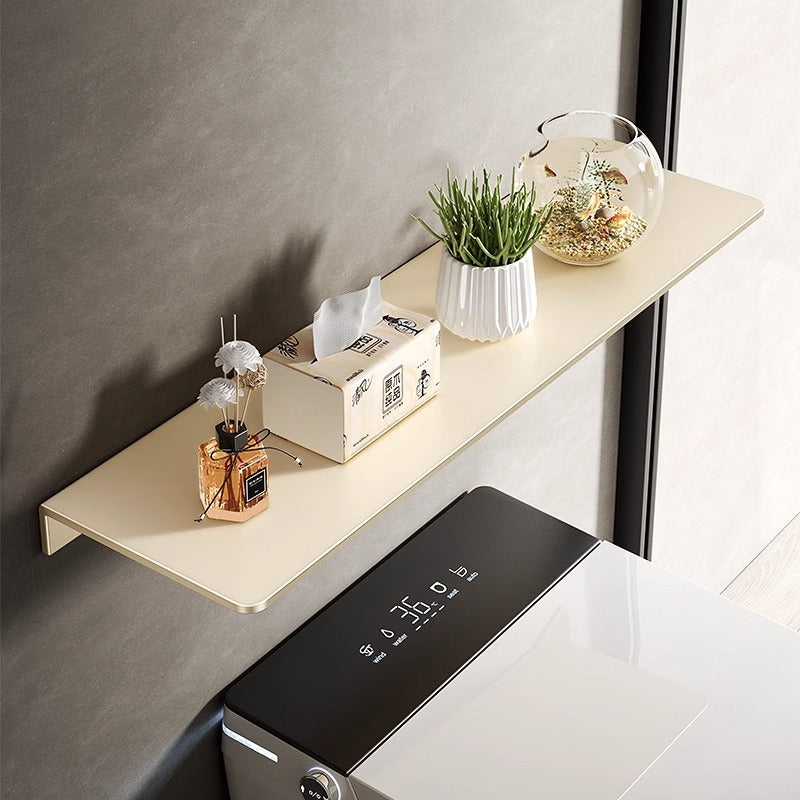Widened Stainless Steel Wall Shelf