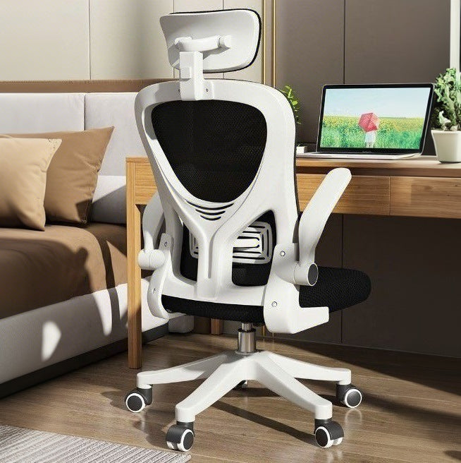 Ergonomic Computer & Gaming Chair for Home & College