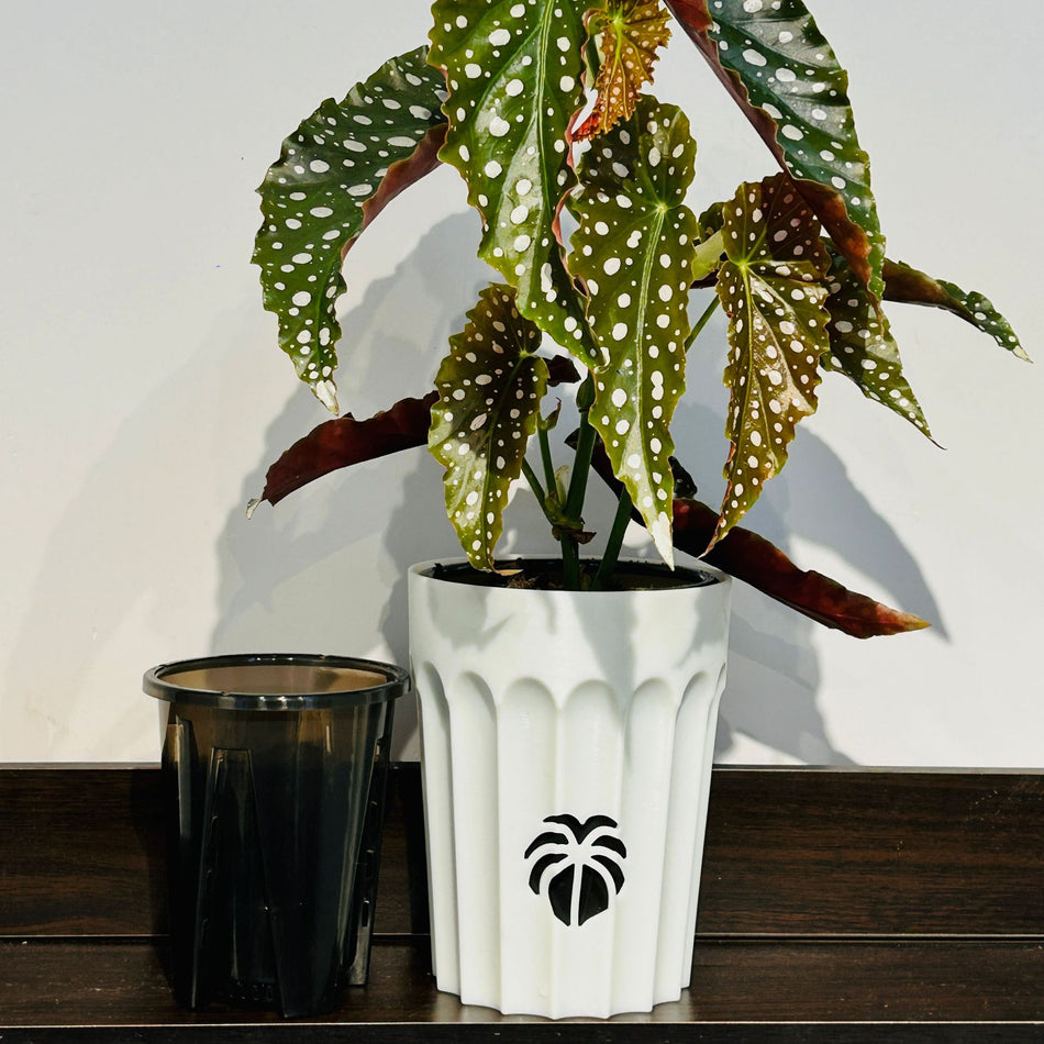 Self-Watering Hydroponic Pot – Nordic Root-Control Planter
