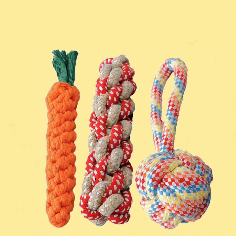Bite-Resistant Dog Molar Toy – Teddy Bear & Carrot Rope Nepal